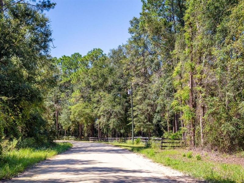 5 Acres Vacant Land in Trenton, FL : Trenton : Gilchrist County : Florida