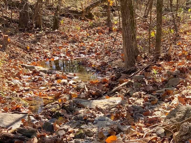 Arkansas Hunting Property for Sale, Farm for Sale in Arkansas, 258558