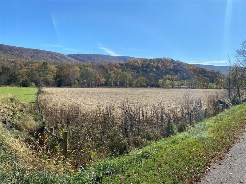 Farmland for Sale in Bland VA : Bland : Bland County : Virginia