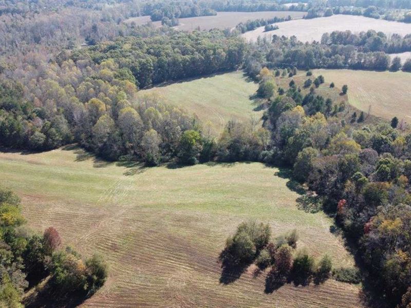 30 Acres in Chesnee, Spartanbur, Farm for Sale in South Carolina