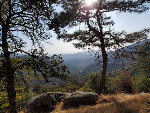 Hunting in The Foothills of CA : Porterville : Tulare County : California