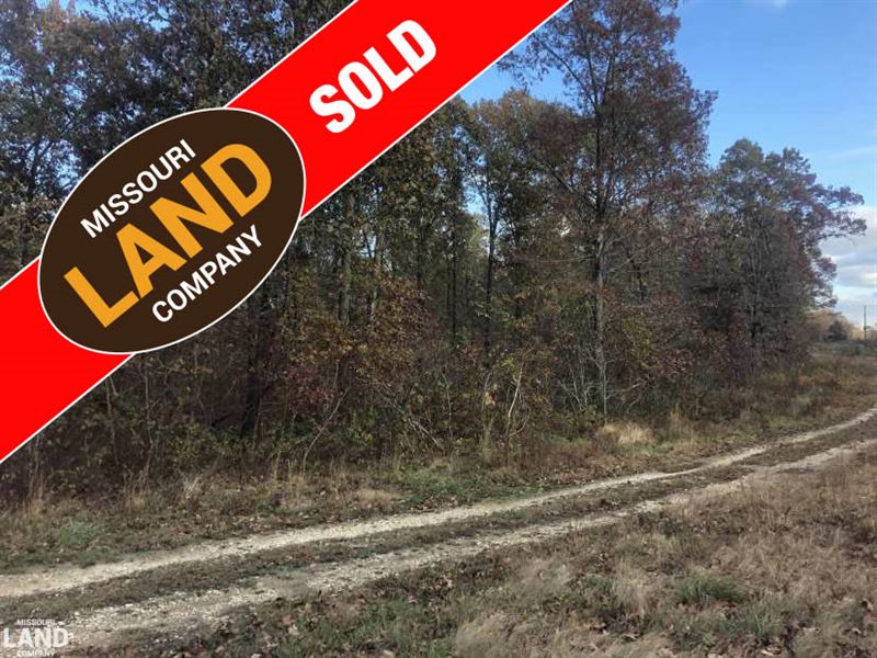29 Acres Cougar Way Cole Camp MO : Cole Camp : Benton County : Missouri