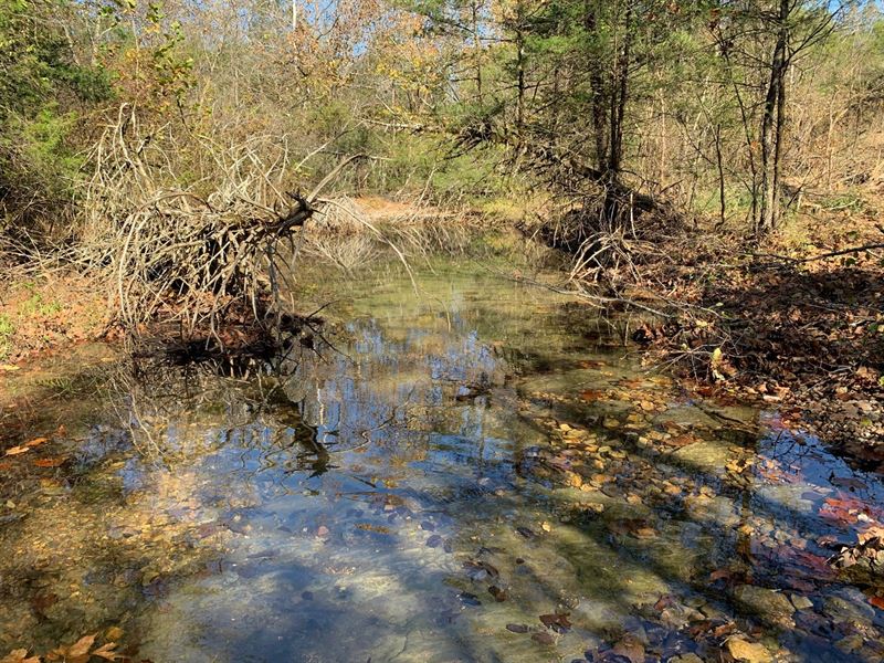 Hunting Property in Arkansas, Farm for Sale in Arkansas, 258829 FARMFLIP