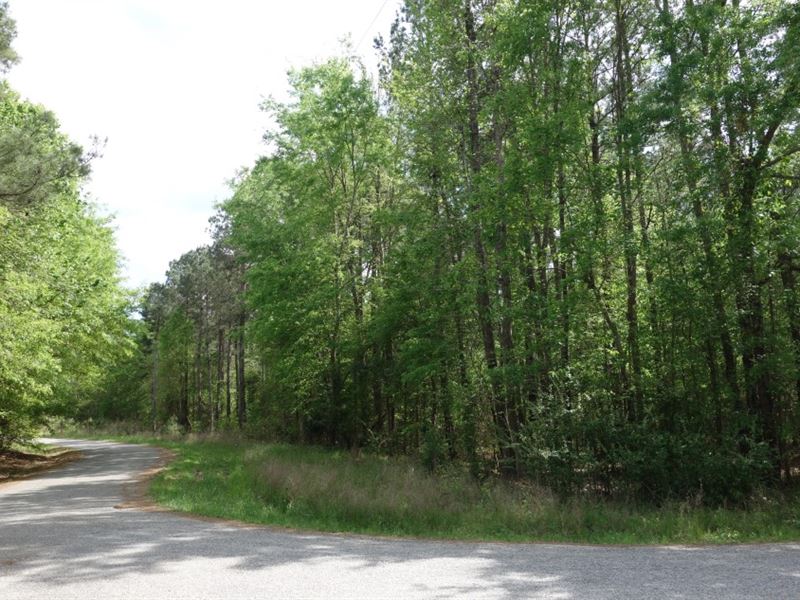 Wooded Acreage : Winnsboro : Fairfield County : South Carolina