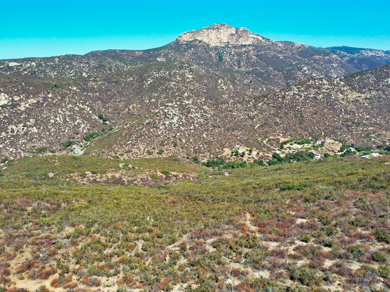 Escape The Insurrection : Alpine : San Diego County : California