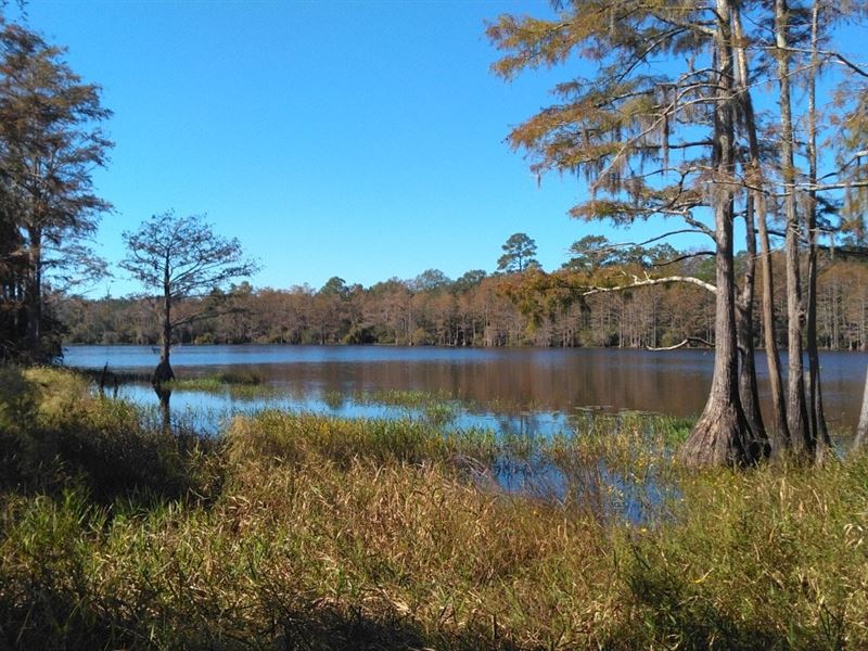 Westville Plantation, Farm for Sale in Florida, 259161 FARMFLIP