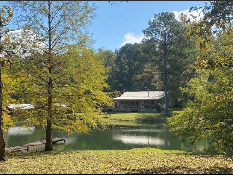 52 Acres With A Home In Lawrence CO Farm for Sale in Sontag, Lawrence