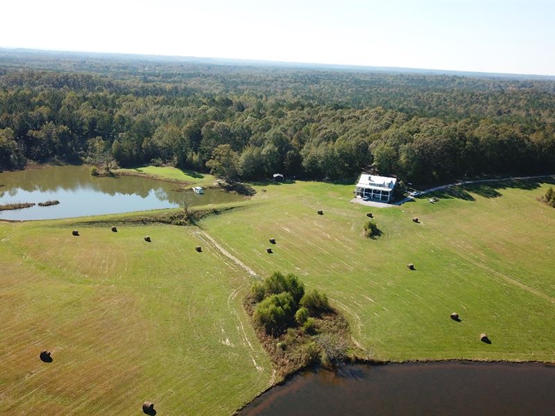 Paradise Farm, Farm for Sale in Alabama, 259258 FARMFLIP