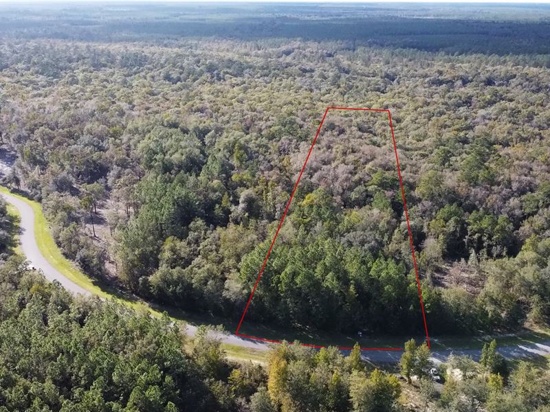 Lot 94- Deep Creek Plantation : Bryceville : Nassau County : Florida