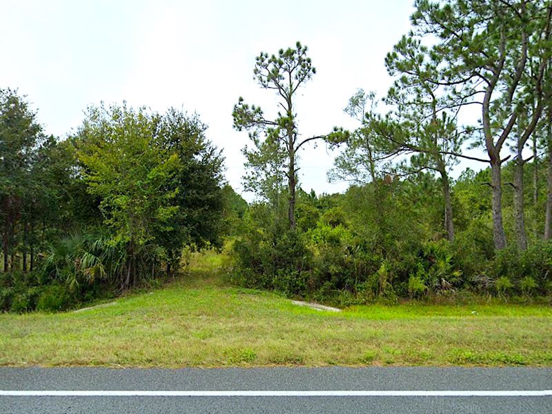 Mobile Homes Ok, Utilities On Site, Farm for Sale by Owner in Florida