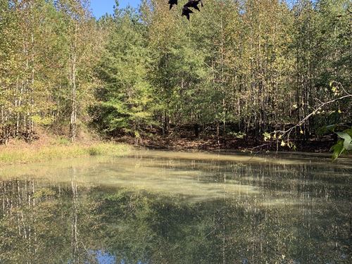 Andrews Tract : Sulligent : Lamar County : Alabama
