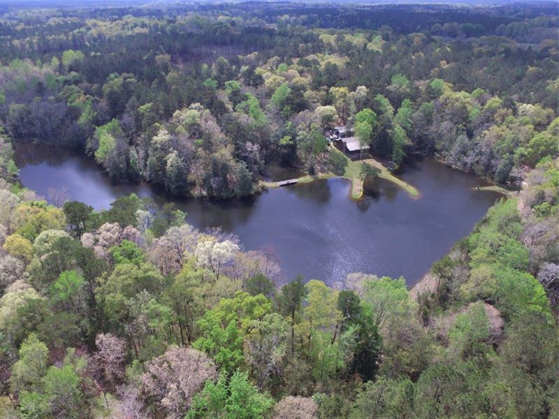 127 Ac with Dogtrot Home and Lake : Evergreen : Conecuh County : Alabama