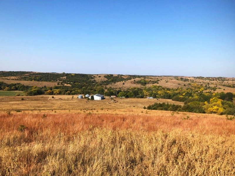 Custer County Range and Home : Sargent : Custer County : Nebraska
