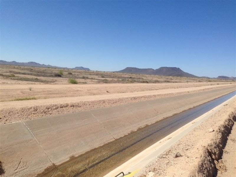 Online Auction 160 Acres Farm Land, Farm Auction in Arizona, 259678