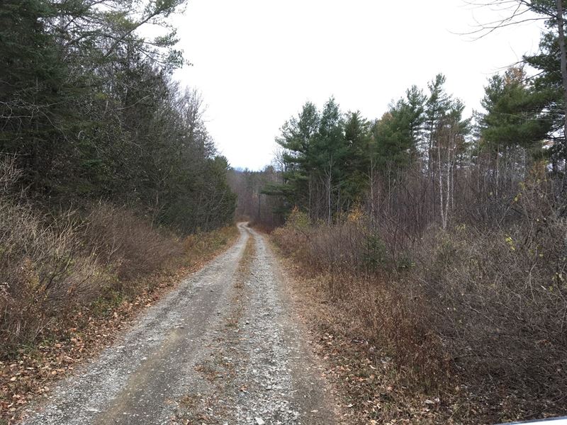Maine Land Homesteading Recreation : Houlton : Aroostook County : Maine