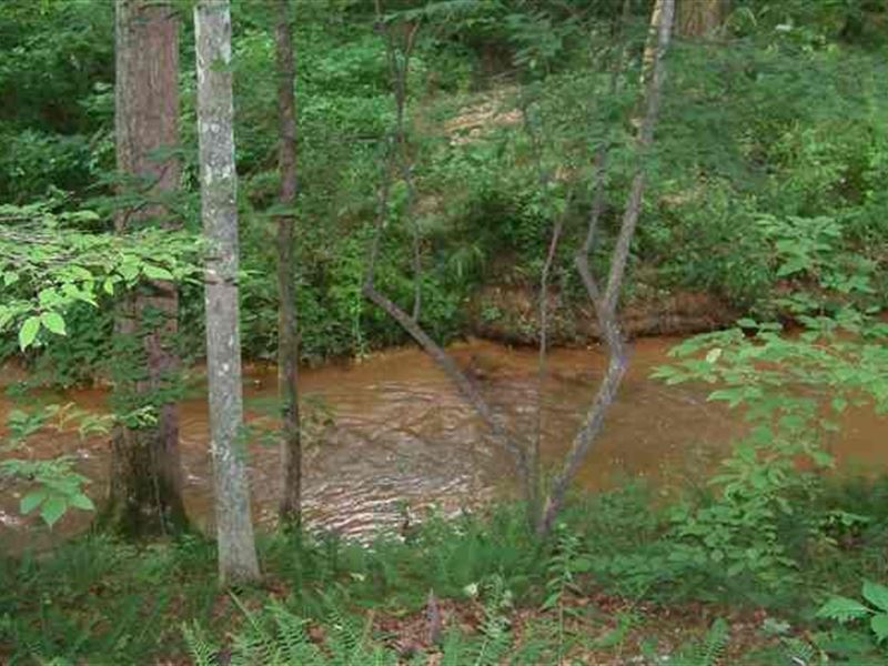 Unrestricted with A Beautiful Creek Farm for Sale by Owner in