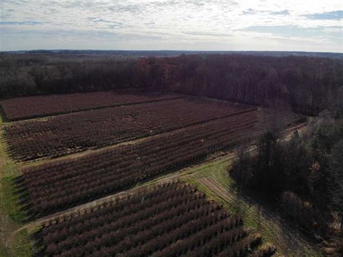 Michigan Blueberry Farms for Sale, Blueberry Farmland for Sale : FARMFLIP