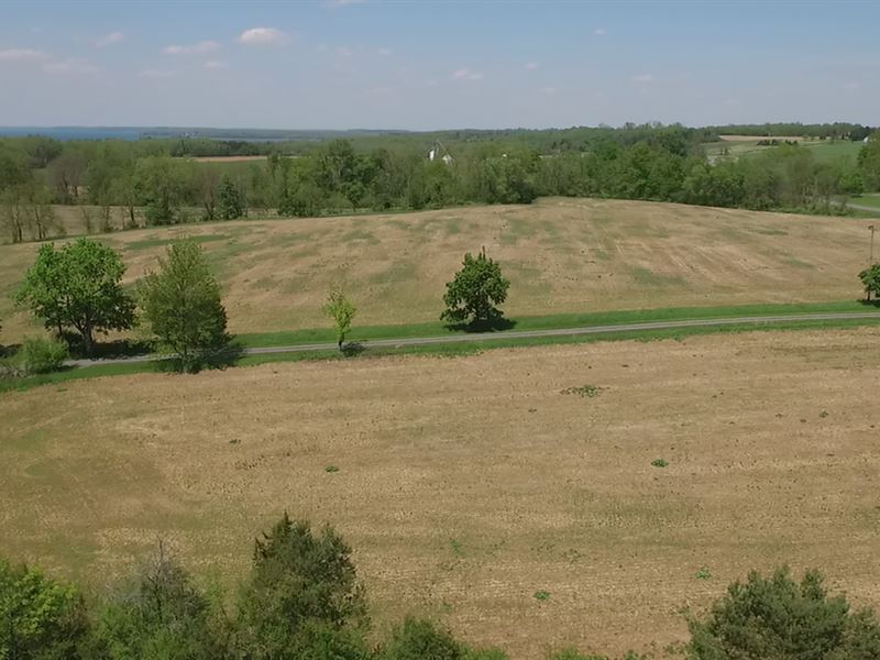 Upstate NY Farm Cayuga Lake Plant, Farm for Sale in New York, 259910