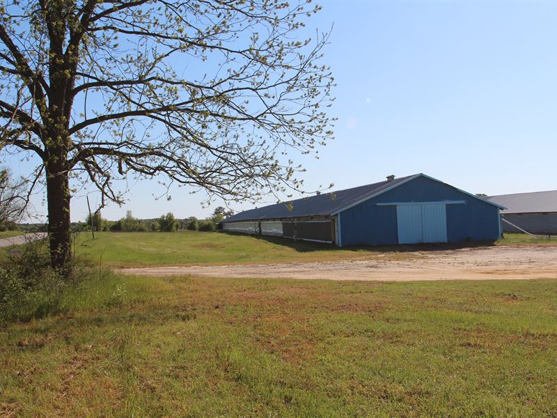 Remotely Controlled Broiler Farm, Farm for Sale by Owner in