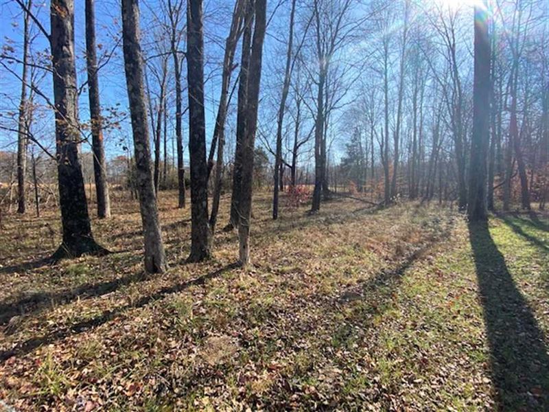 Land for Sale Owen County, IN 36, Farm for Sale in Indiana, 260009