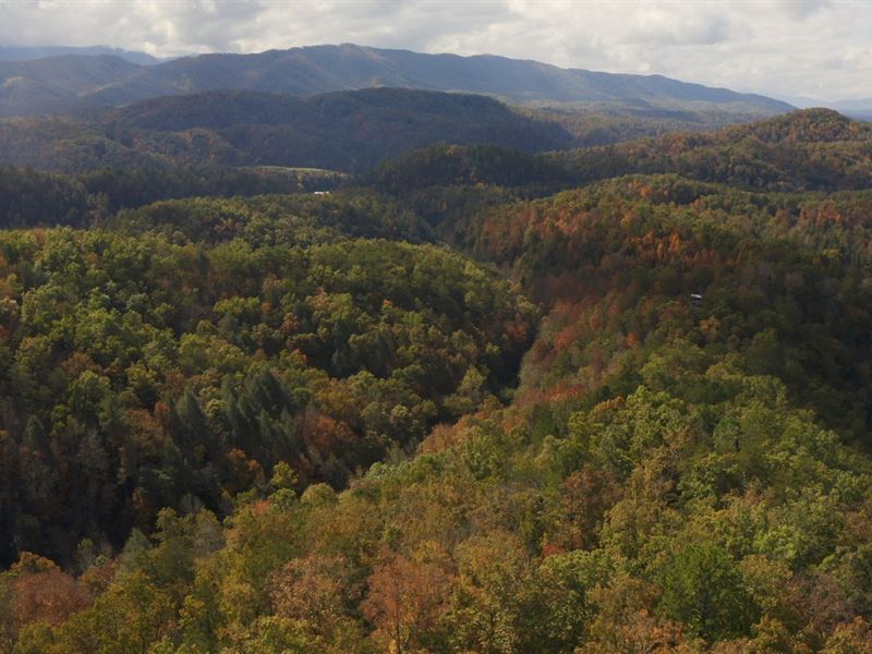 Unrestricted Land For Sale Sevier County Tn