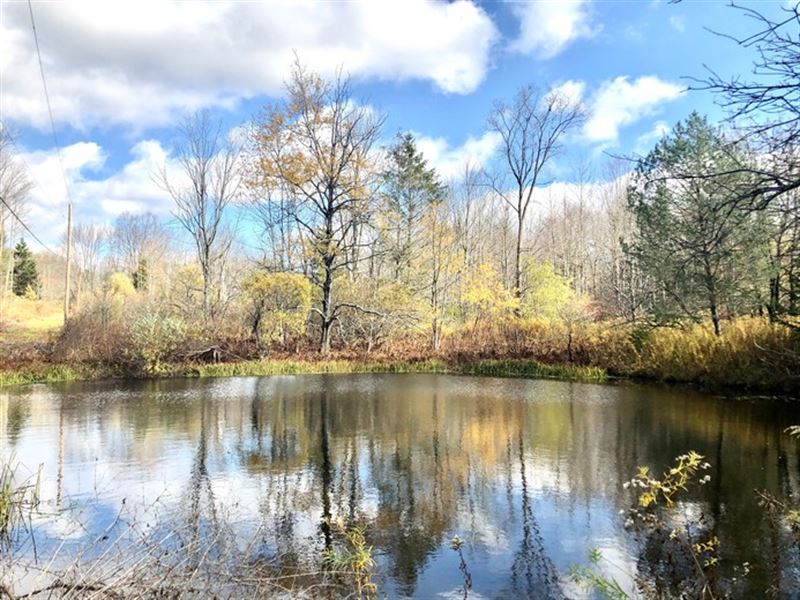 On Mirror Pond Farm for Sale in Norwich, Chenango County, New York