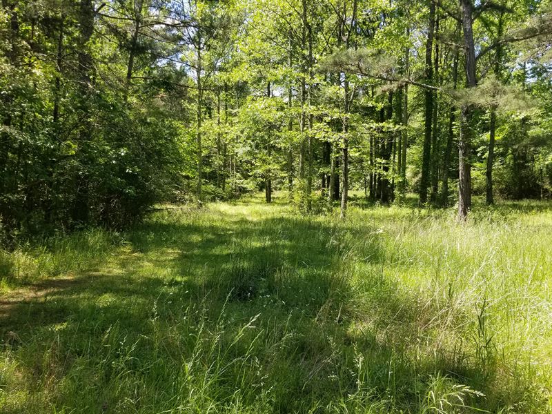 Six Mile Tract II : Farm for Sale in Rome, Floyd County ...