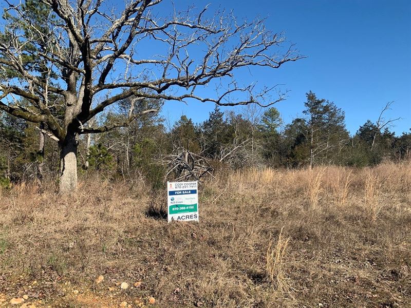 Mount Olive, Arkansas Hunting Land, Farm for Sale in Arkansas, 260335