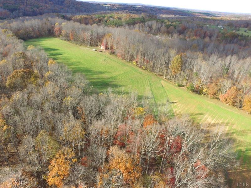Nicely Laying Farm Land Callands, Farm for Sale in Virginia, 260515