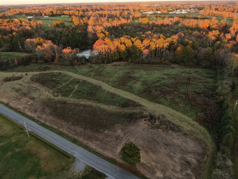 35 Acres in East Cullman County, Farm for Sale in Alabama, 260555