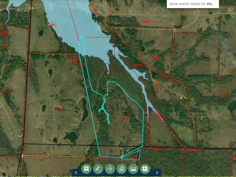 Waterfront on New Lake, Farm for Sale in Texas, 260561 FARMFLIP