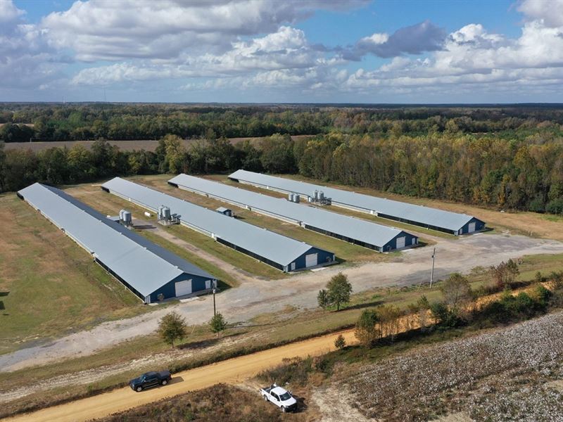 Song Broiler Farm, Williston, SC, Farm for Sale in South Carolina, 260712 FARMFLIP
