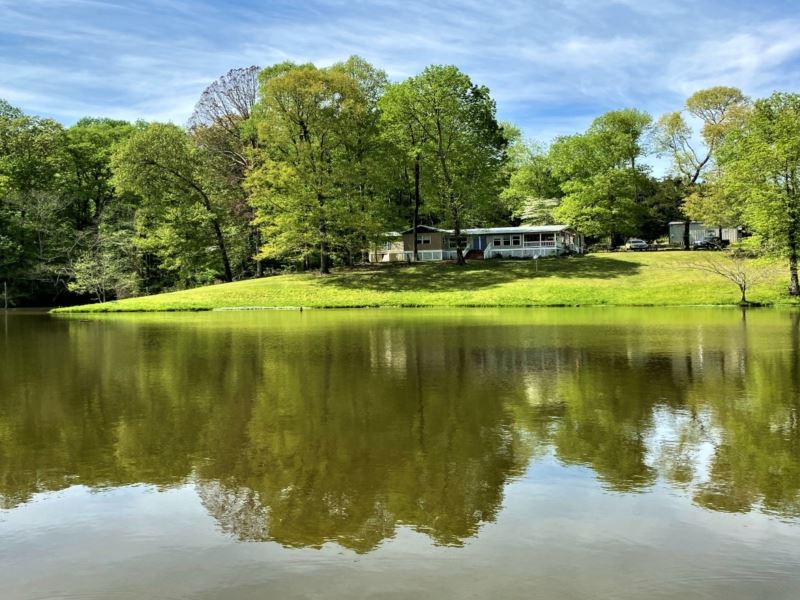 280 Acres in Holmes County in Lexin, Farm for Sale in Mississippi