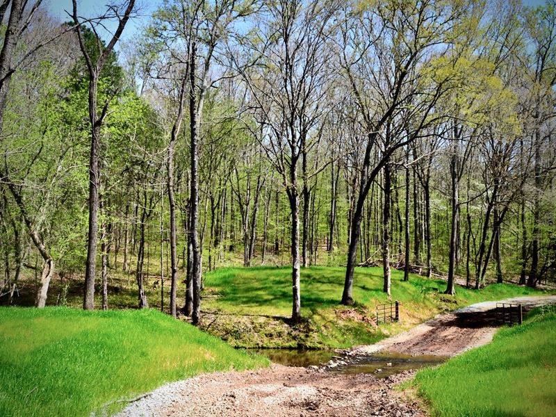 Outstanding Hunting and Timberland, Farm for Sale in South Carolina