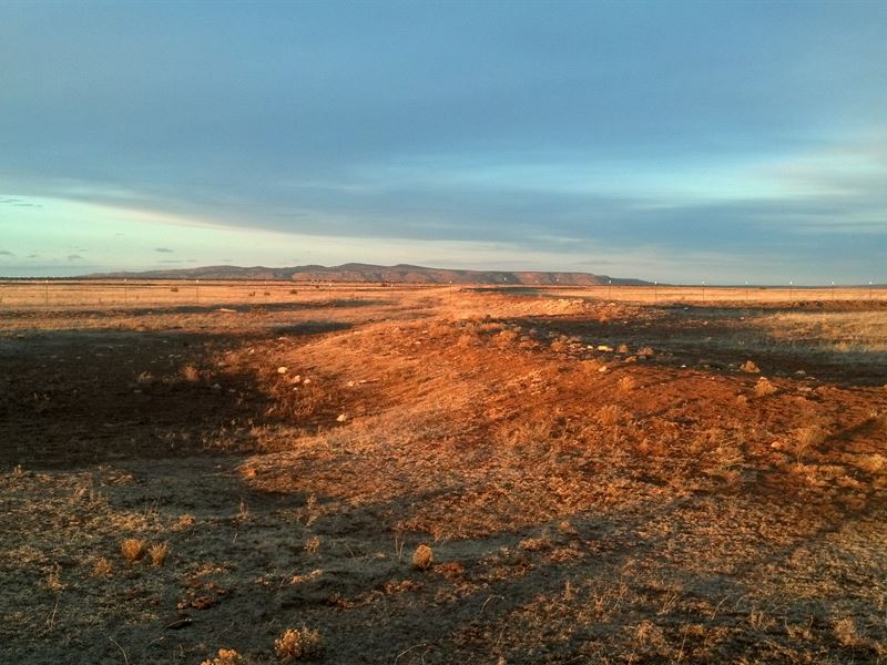 Vast 33 Acres in Roswell New Mexico, Farm for Sale by Owner in New