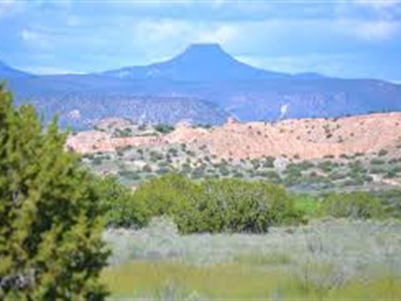 10 Private Acres in Cochise County, Farm for Sale by Owner in Arizona