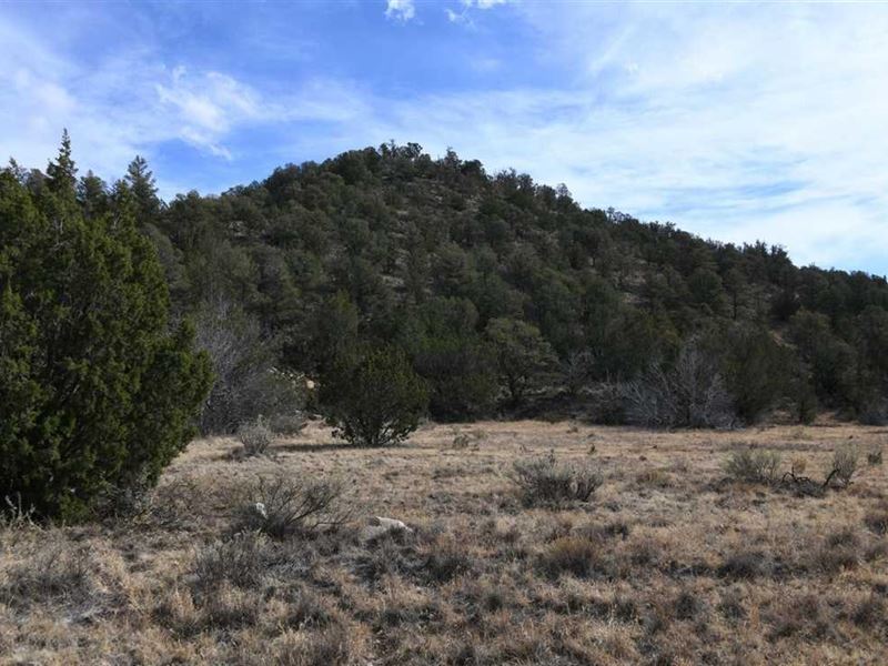 20.21 Acres Lincoln County NM : Capitan : Lincoln County : New Mexico