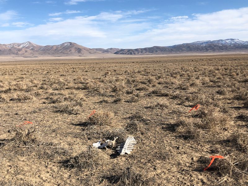 Grass Valley Acreage, Price Reduced, Farm for Sale by Owner in Nevada, 261226 FARMFLIP