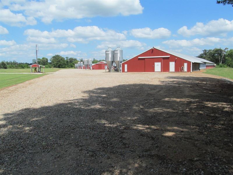 Poultry Farm, Country Home, 40, Farm for Sale in Texas, 261427 FARMFLIP