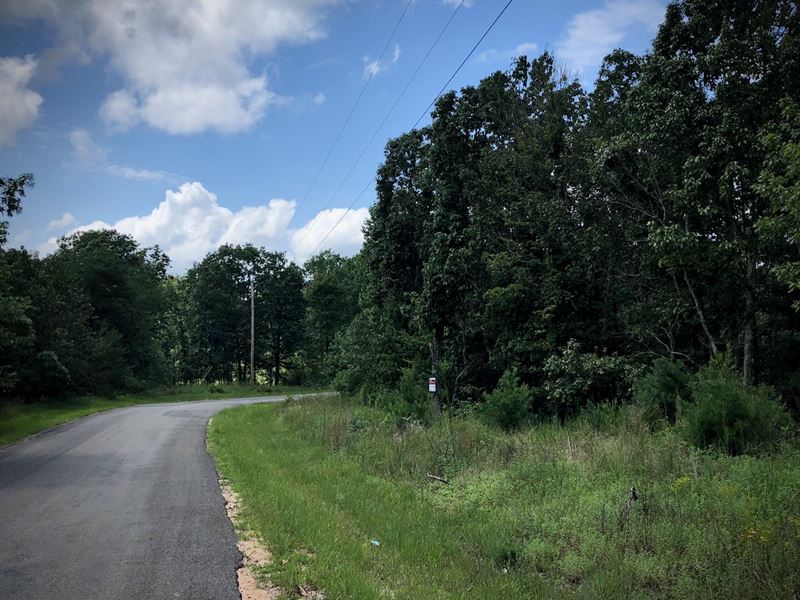 228 Acres in Stewart County, TN, Farm for Sale in Tennessee, 261475