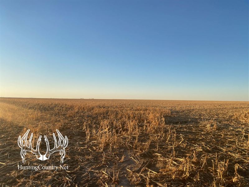 Gray County, KS Cropland for Sale, Farm for Sale in Kansas, 261595