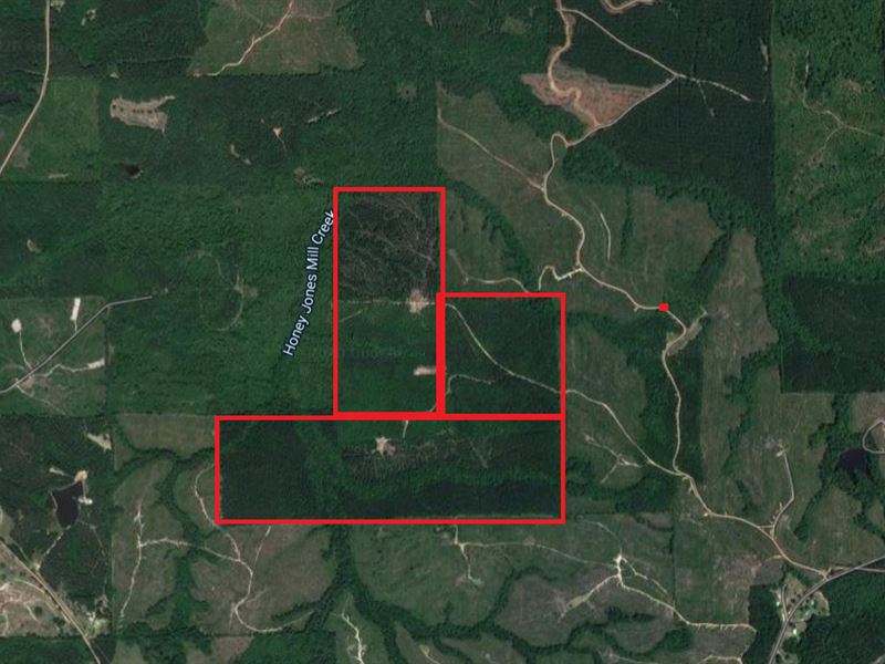 Crenshaw County Recreational Land : Brantley : Crenshaw County : Alabama