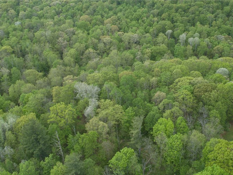 Views of The Catskills with Options : Gallatin : Columbia County : New York