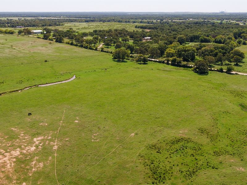 A Place To Build Your Dream Home : Rockdale : Milam County : Texas