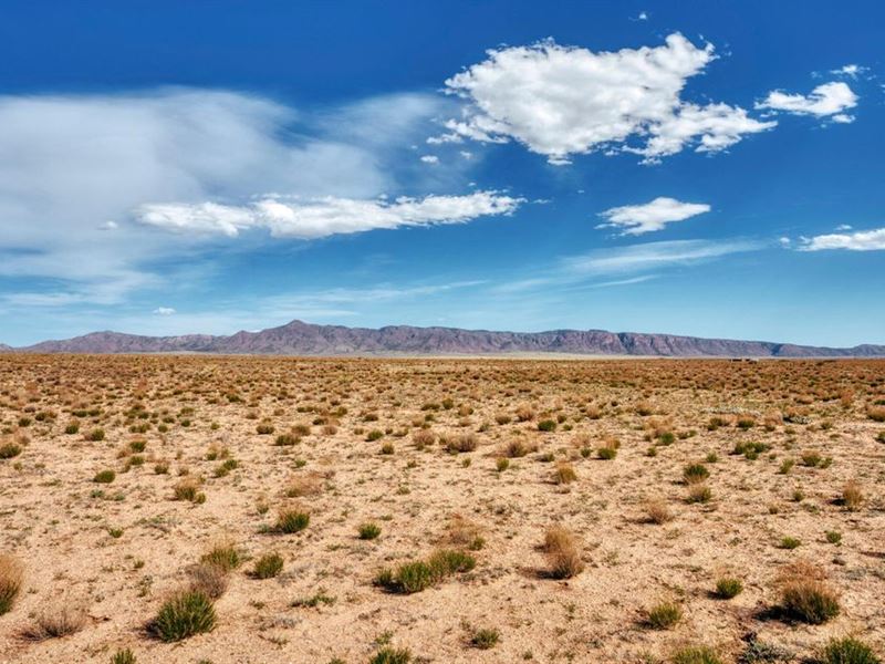 Socorro 5 Acres Owner Financed $60 : Socorro : Socorro County : New Mexico