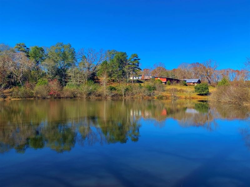 Cattle Farm, Pond & Home Farm for Sale in Royston, Franklin County