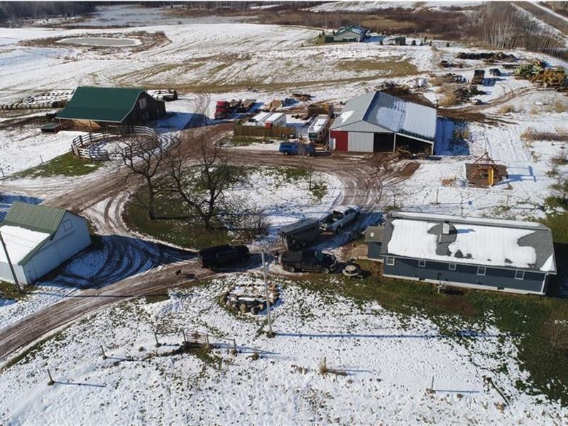 East Central Minnesota Farm, 120, Farm for Sale in Minnesota, 261791