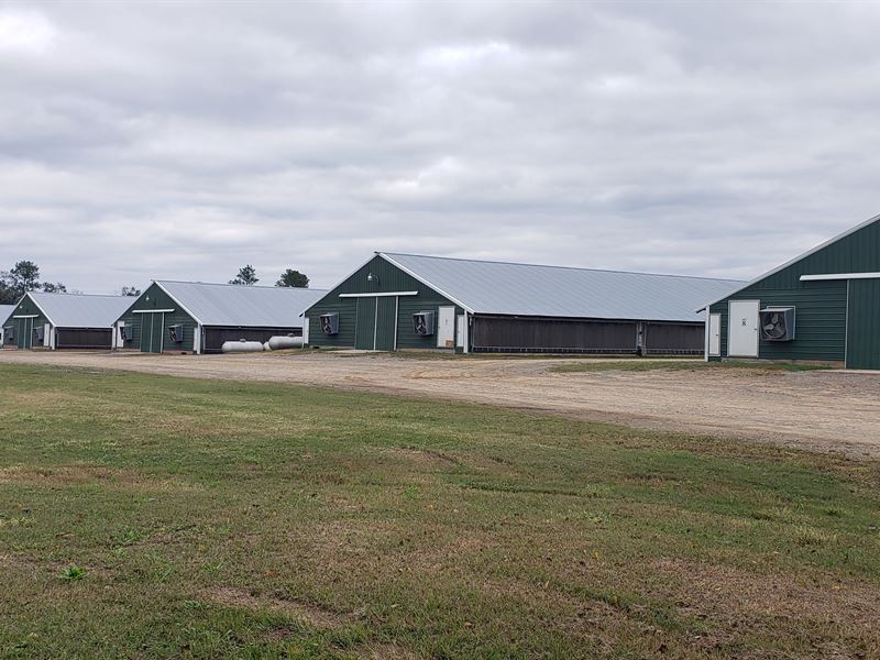 8 House Poultry Broiler Farm, Farm for Sale in 261823 FARMFLIP