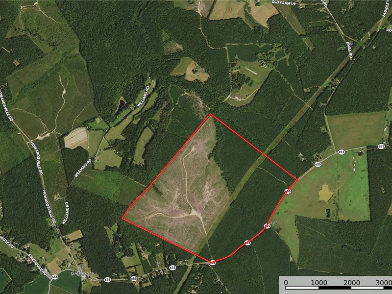 Baird Timberland Tract 2, Farm for Sale in Virginia, 262004 FARMFLIP