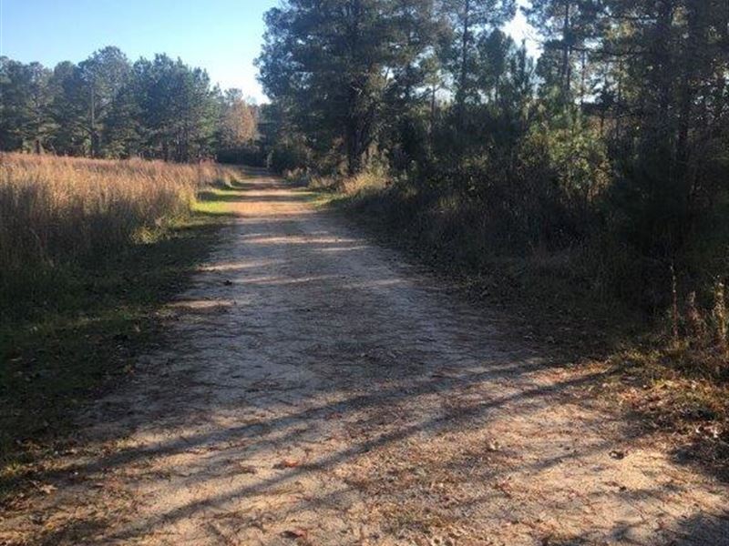 40 Acre Farm, Farm for Sale in 262094 FARMFLIP